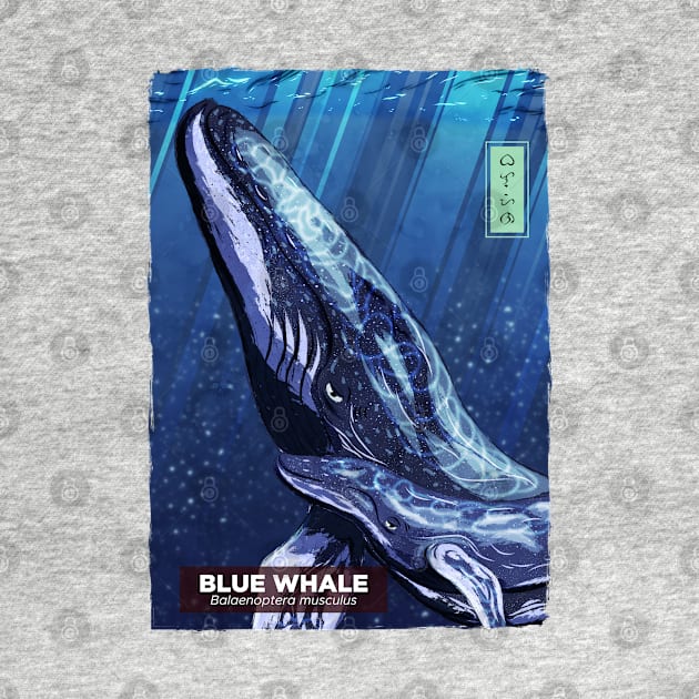Blue Whale - White by Thor Reyes